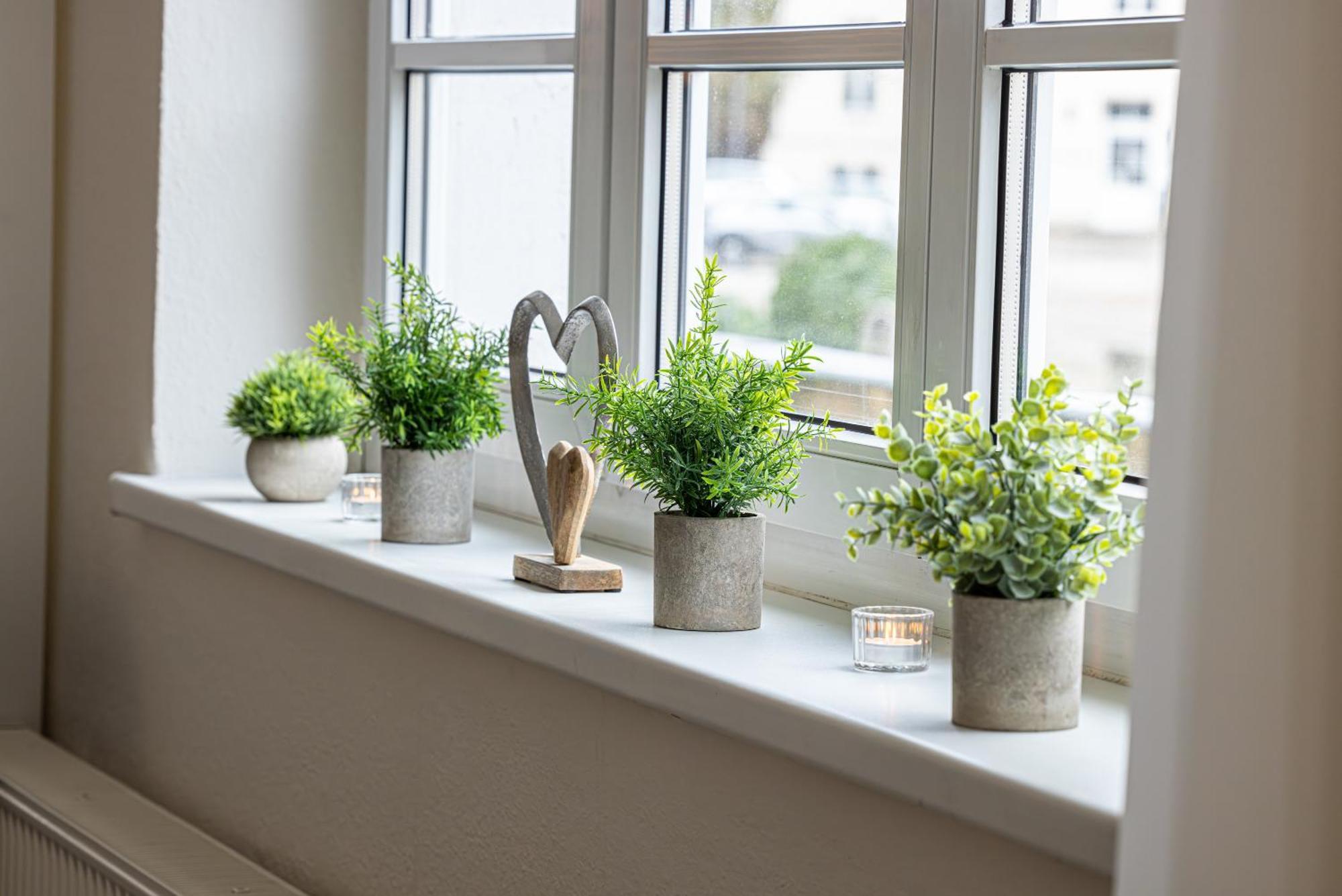 Luxus City Apartment Sauna Balkon Kueche Zentral Rostock Buitenkant foto